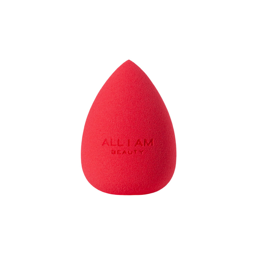 Makeup Sponge 01