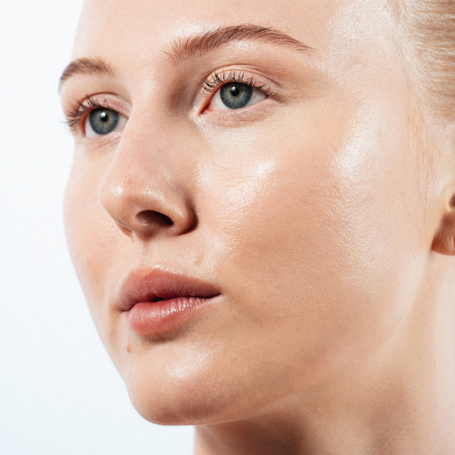 The Foundation Kit - Light